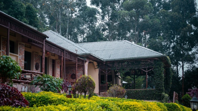 a house in the middle of a lush green forest