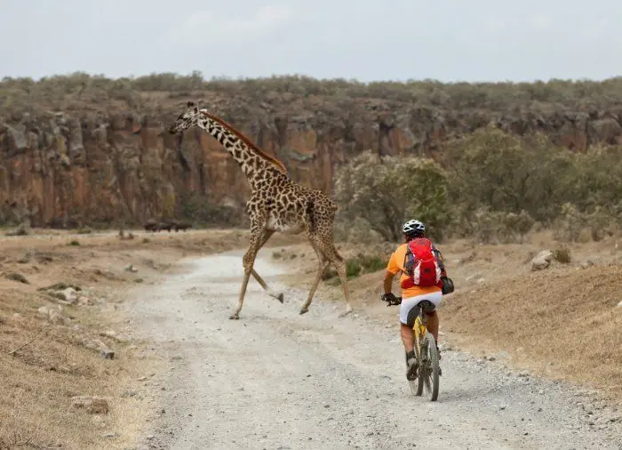 Bike ride in Hell's gate national park