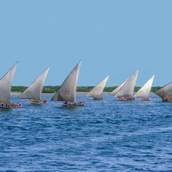 Dhows on Lamu Island