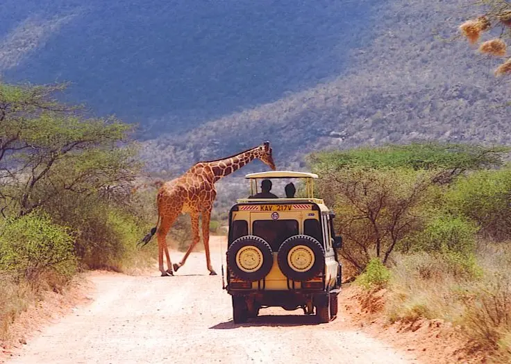 Abenteuer Game drive in Samburu National Park