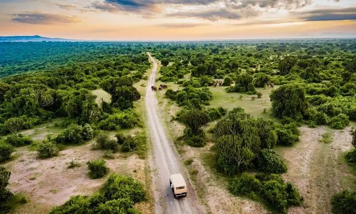 scenic safari drive 