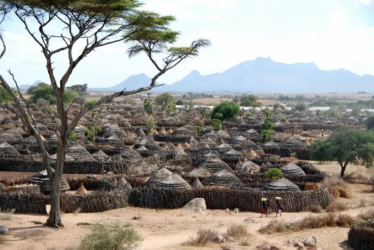 A Karamojong homestead in North Eastern Uganda