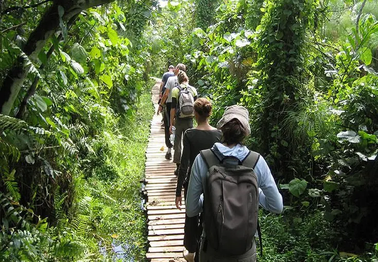Mgahinga Mountain Climbing by tourists