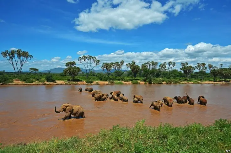 Samburu National PARK