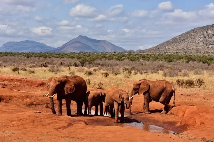 Tsavo National Park