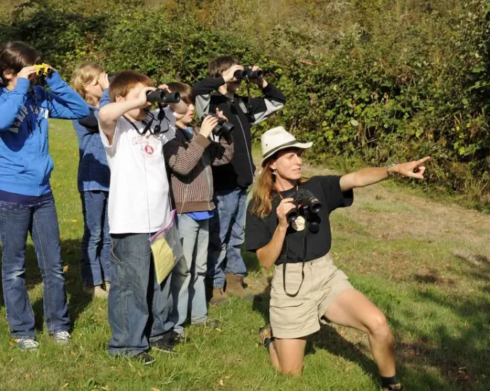 Birdwatching safari in Kenya