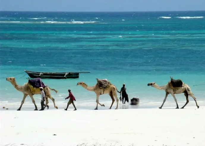 Malindi