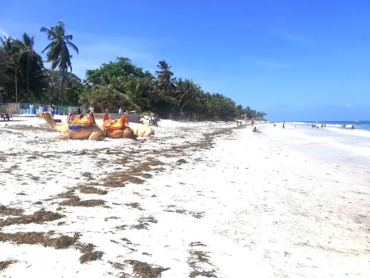 Nyali Beach