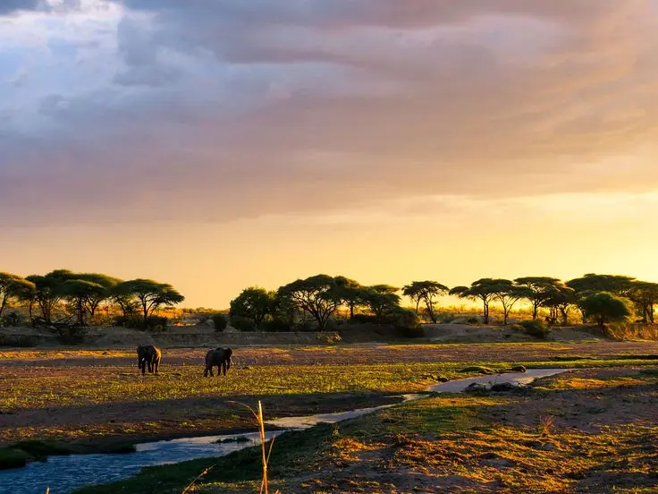 Tarangire National Park
