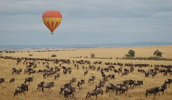 Hot air balloon safari in Tanzania