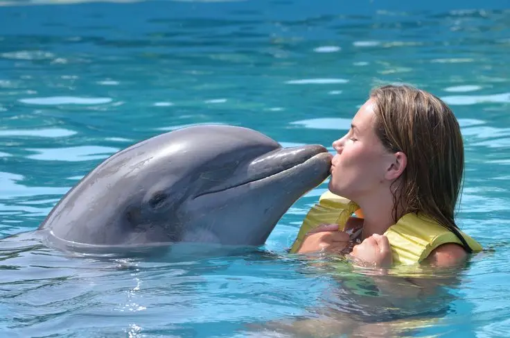 Zanzibar dolphin encouter