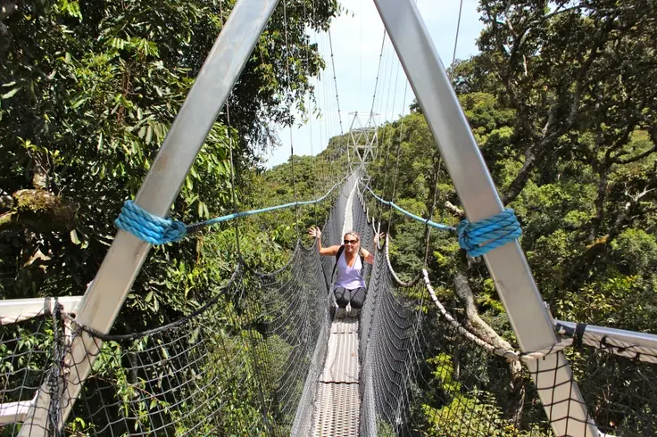 Canopy walk in Nyungwe national park