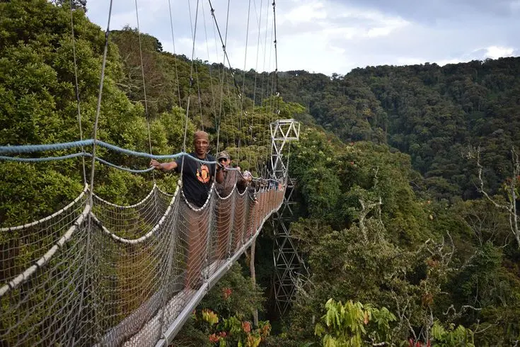 Nyungwe forest canopy Walk