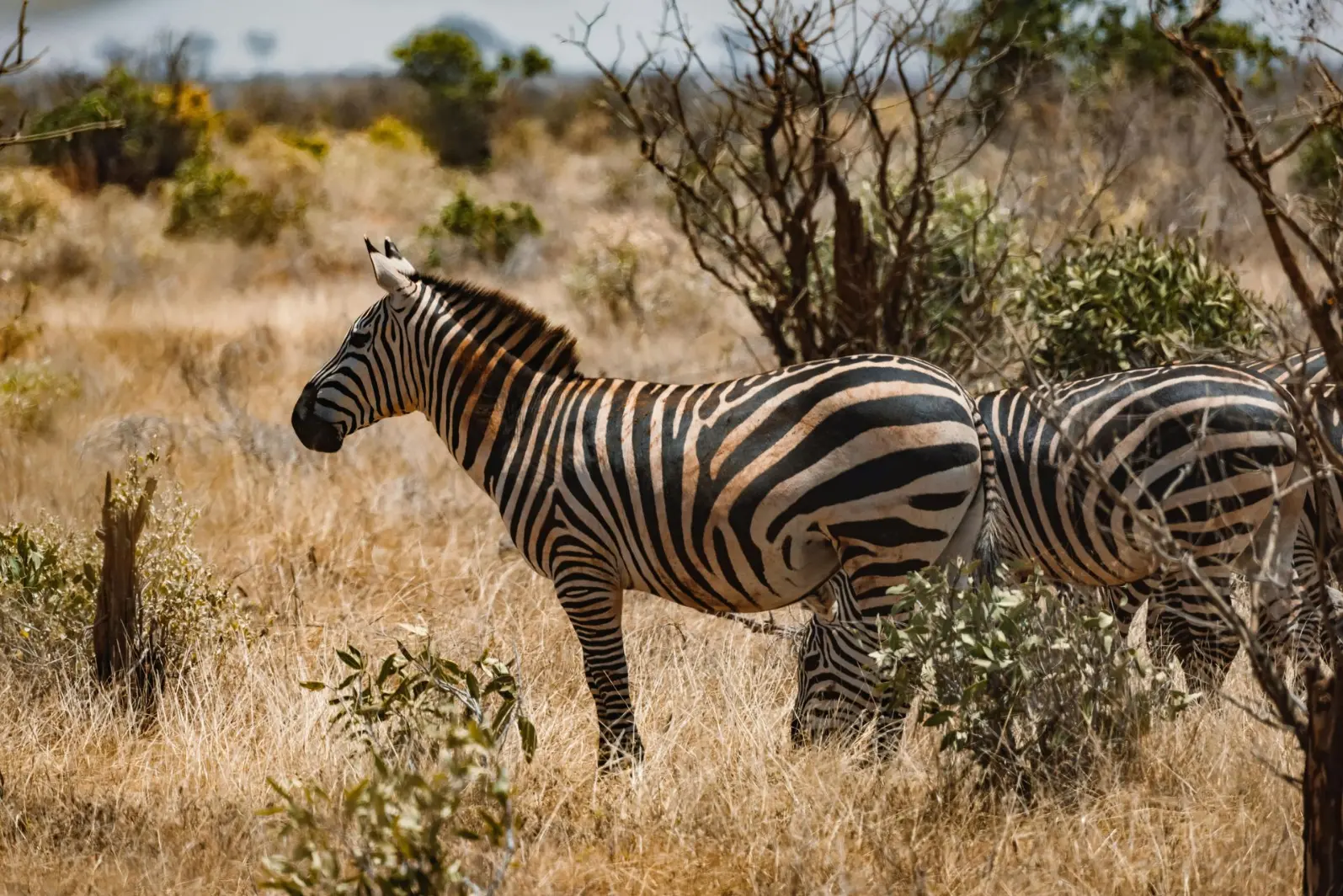 Places to visit in 2025 Uganda