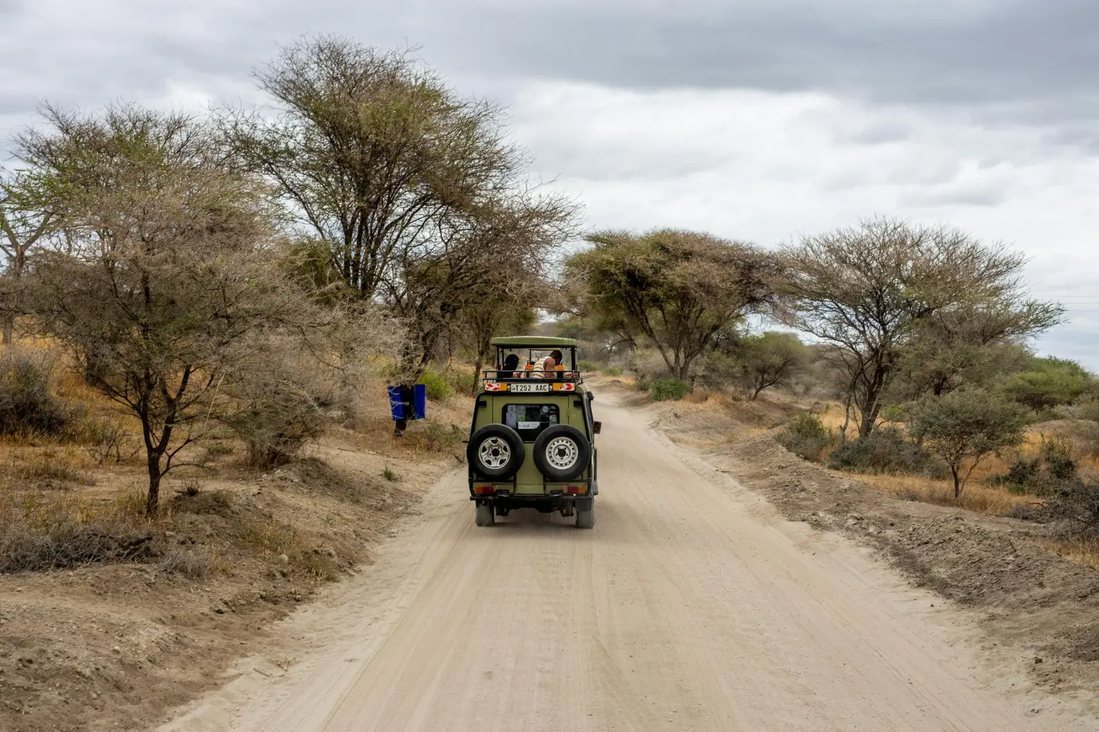 Best destinations for classic tours and safaris