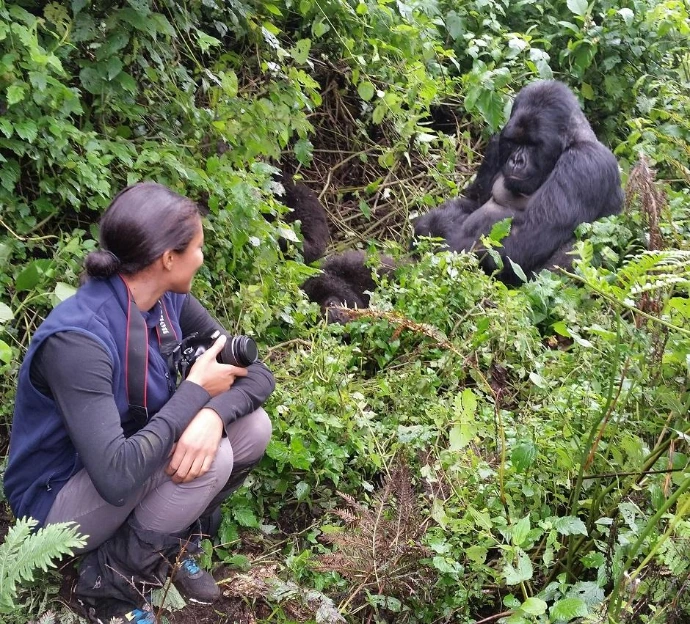 Mountain gorilla trekking