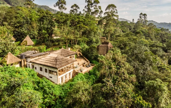 a house in the middle of a lush green forest