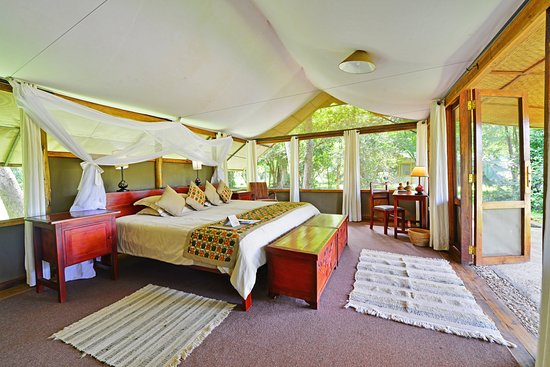 Midrange accommodation in Bwindi