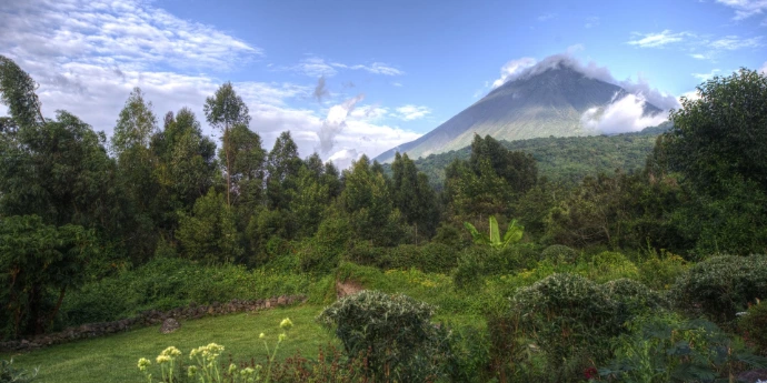 Mgahinga gorilla trekking