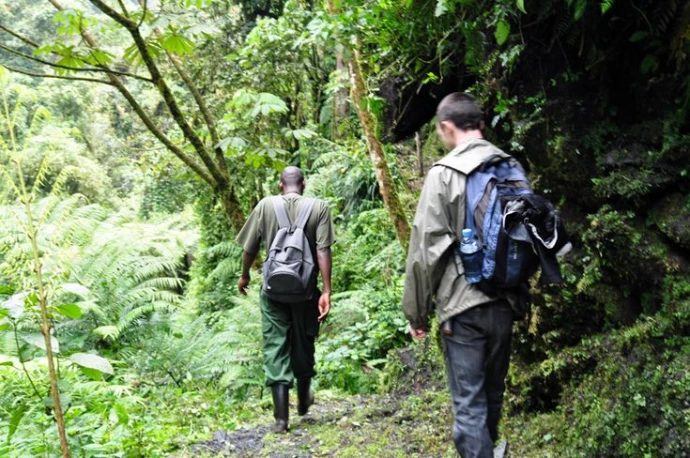 Private gorilla trekking in Bwindi