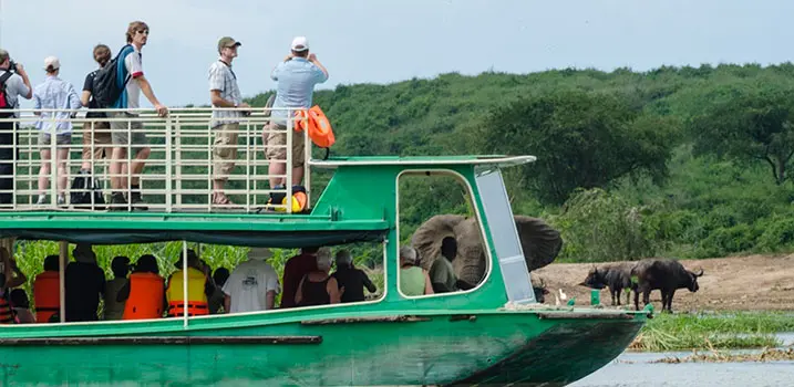 an interesting animal spotting during boat cruise